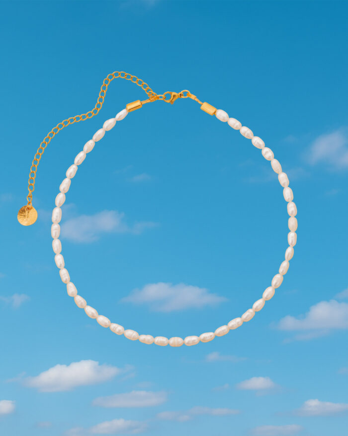 ΜΑΡΓΑΡΙΤΑΡΙ